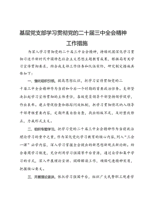 基层党支部学习贯彻党的二十届三中全会精神工作措施.docx