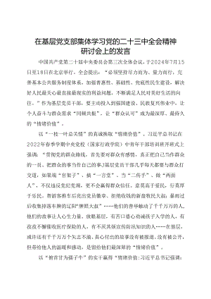 在基层党支部集体学习党的二十三中全会精神研讨会上的发言.docx