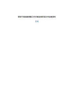 2019年领导干部选拔调整工作及各阶段文书全套资料.docx