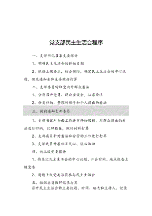 党支部民主生活会程序.docx