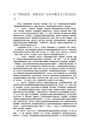 在“排队抓尾、双整双创”行动专题会议上的交流发言.docx