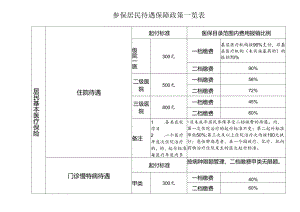 参保居民待遇保障政策一览表.docx