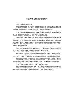 对照三个聚焦巡察自查报告.docx