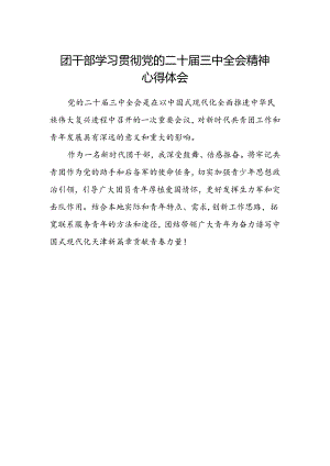 团干部学习贯彻党的二十届三中全会精神心得体会.docx