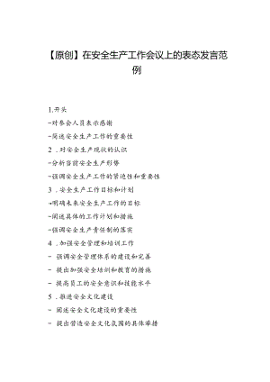 【原创】在安全生产工作会议上的表态发言范例.docx