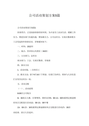 公司活动策划方案5篇.docx