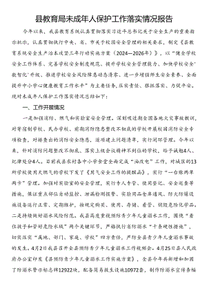 县教育局未成年人保护工作落实情况报告.docx