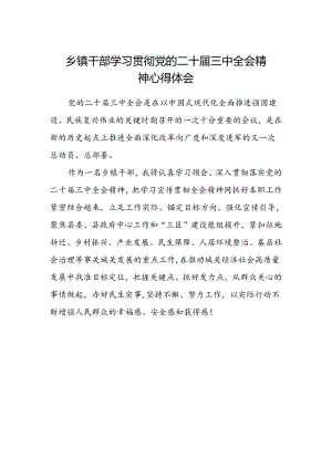 乡镇干部学习贯彻党的二十届三中全会精神心得体会.docx