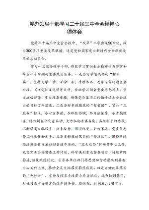 党办领导干部学习二十届三中全会精神心得体会.docx