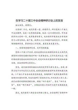 在学习二十届三中全会精神研讨会上的发言.docx