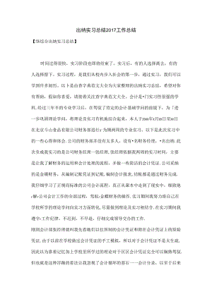 出纳实习总结.docx