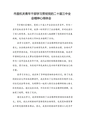 市直机关青年干部学习贯彻党的二十届三中全会精神心得体会.docx