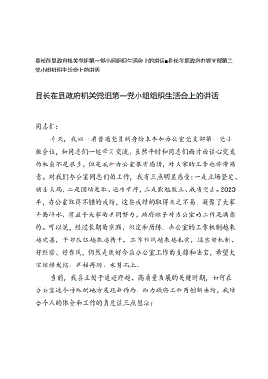 县长在县政府机关党组第一党小组第二小组组织生活会上的讲话.docx