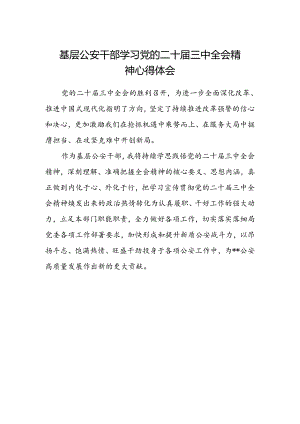 基层公安干部学习党的二十届三中全会精神心得体会.docx