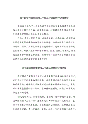 团干部学习贯彻党的二十届三中全会精神心得体会范文5篇（最新版）.docx
