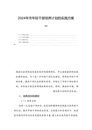 2024年市年轻干部培养计划的实施方案.docx