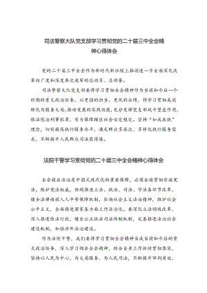 司法警察大队党支部学习贯彻党的二十届三中全会精神心得体会（共五篇）.docx