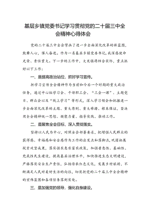 基层乡镇党委书记学习贯彻党的二十届三中全会精神心得体会 .docx