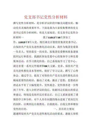 党支部书记党性分析材料.docx