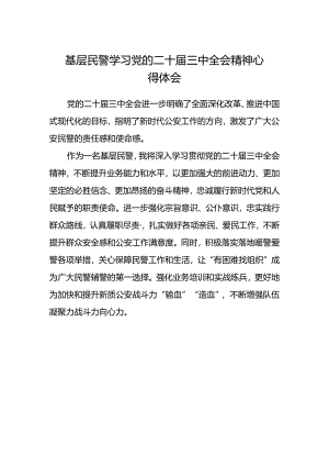 基层民警学习党的二十届三中全会精神心得体会.docx