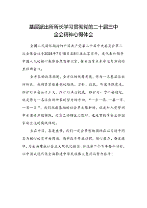 基层派出所所长学习贯彻党的二十届三中全会精神心得体会 .docx