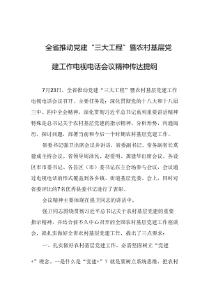 全省推进党建“三大工程”暨农村基层党建工作电视电话会议精神传达提纲.docx