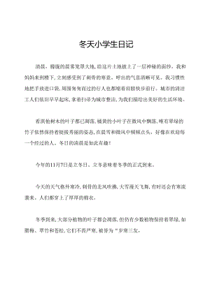 冬天小学生日记.docx