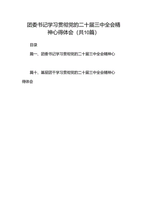 团委书记学习贯彻党的二十届三中全会精神心得体会10篇（最新版）.docx
