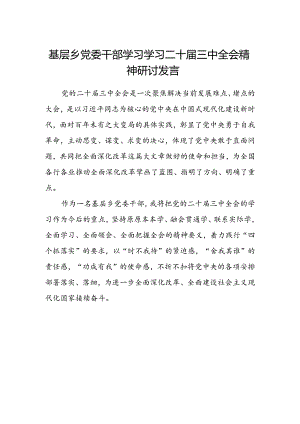 基层乡党委干部学习学习二十届三中全会精神研讨发言.docx