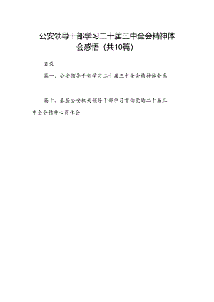 公安领导干部学习二十届三中全会精神体会感悟（共10篇）.docx