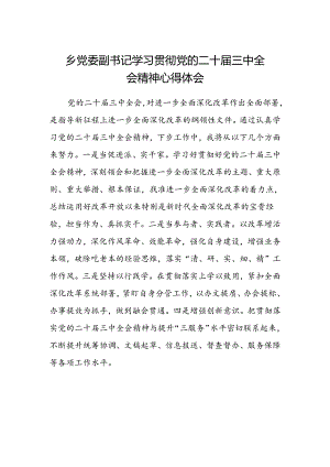 乡党委副书记学习贯彻党的二十届三中全会精神心得体会范文.docx
