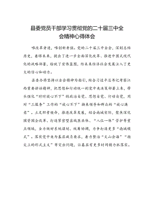 县委党员干部学习贯彻党的二十届三中全会精神心得体会.docx