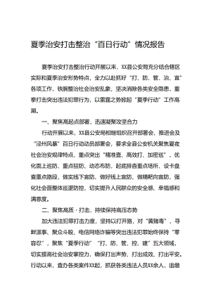 县公安2024夏季治安打击整治行动工作总结10篇.docx