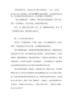 关于春天初中的作文.docx