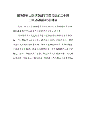 司法警察大队党支部学习贯彻党的二十届三中全会精神心得体会.docx