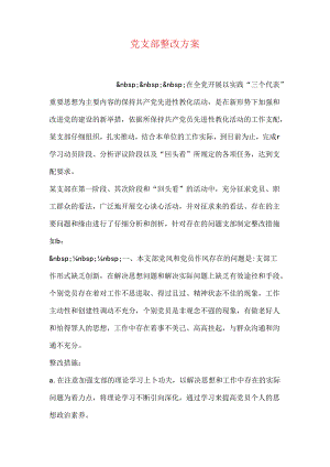 党支部整改方案.docx