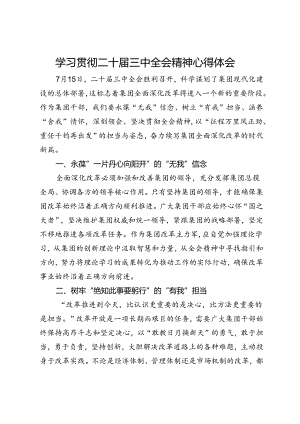 公司党员领导干部学习贯彻二十届三中全会精神心得体会.docx