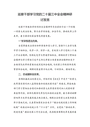 巡察干部学习党的二十届三中全会精神研讨发言.docx