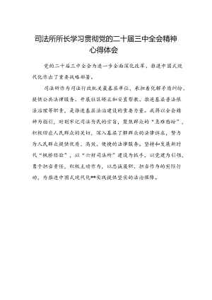 司法所所长学习贯彻党的二十届三中全会精神心得体会.docx