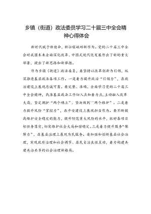 乡镇(街道)政法委员学习二十届三中全会精神心得体会.docx
