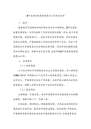X市自建房隐患排查整治工作实施方案.docx