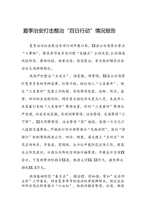 公安推进2024年夏季治安打击整治行动的情况报告十六篇.docx