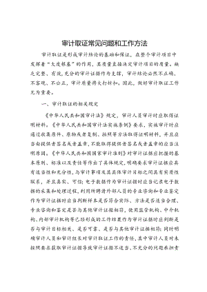 审计取证常见问题和工作方法.docx