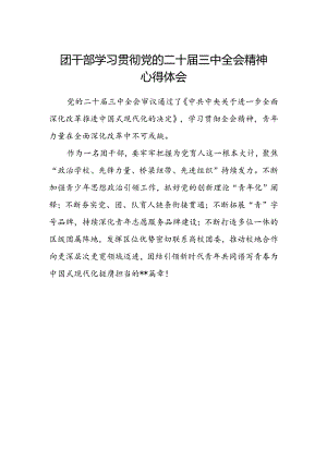 团干部学习贯彻党的二十届三中全会精神心得体会.docx