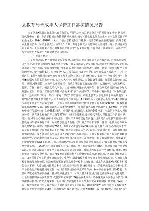 县教育局未成年人保护工作落实情况报告 .docx