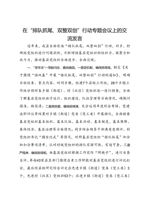 在“排队抓尾、双整双创”行动专题会议上的交流发言.docx