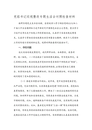 党组书记巡视整改专题生活会对照检查材料.docx