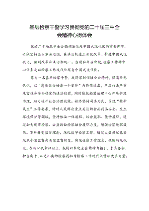 基层检察干警学习贯彻党的二十届三中全会精神心得体会 .docx