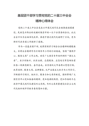 基层团干部学习贯彻党的二十届三中全会精神心得体会.docx