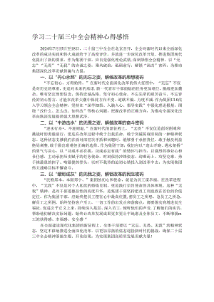 学习二十届三中全会精神心得感悟.docx